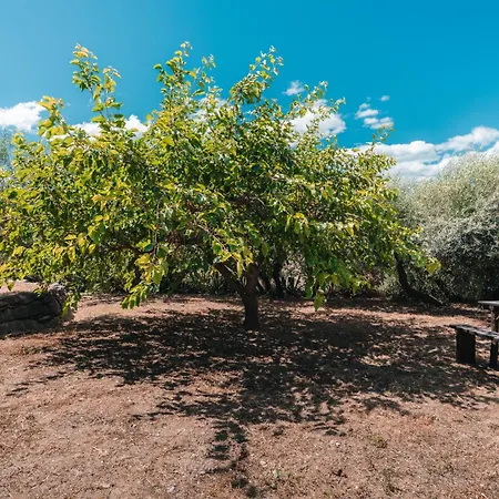 Casa Sciuscetta * 아그로폴리