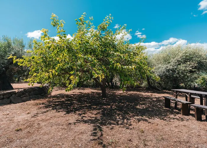 Casa Sciuscetta * 아그로폴리